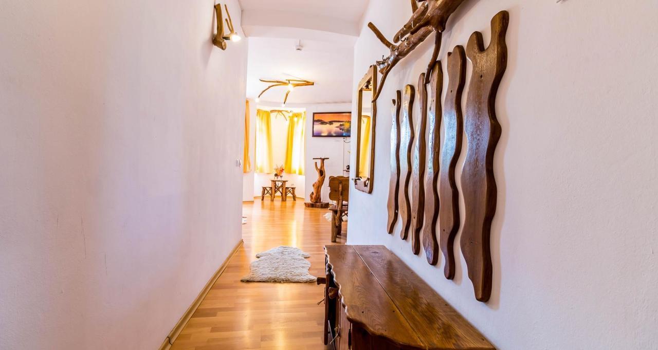 Castelul De Vis Hotel Petrosani Ngoại thất bức ảnh