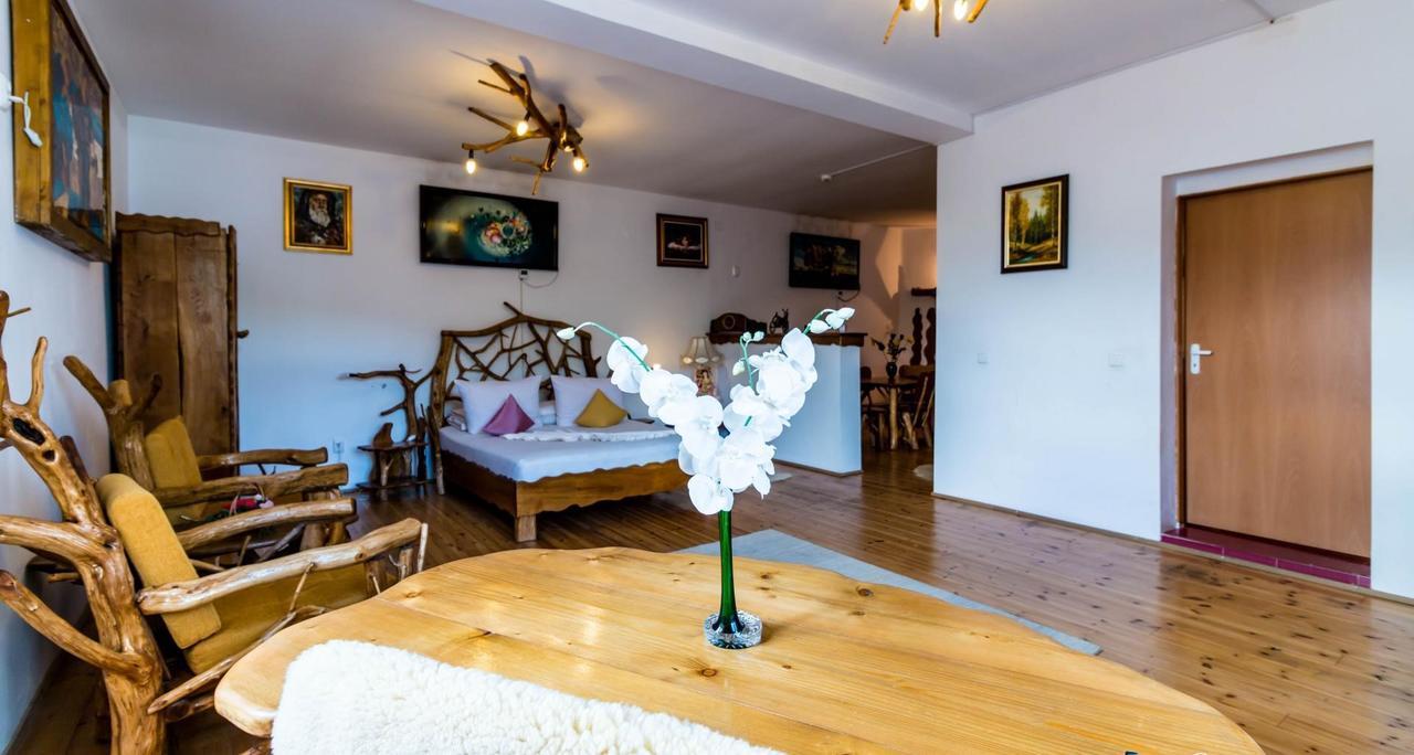 Castelul De Vis Hotel Petrosani Ngoại thất bức ảnh