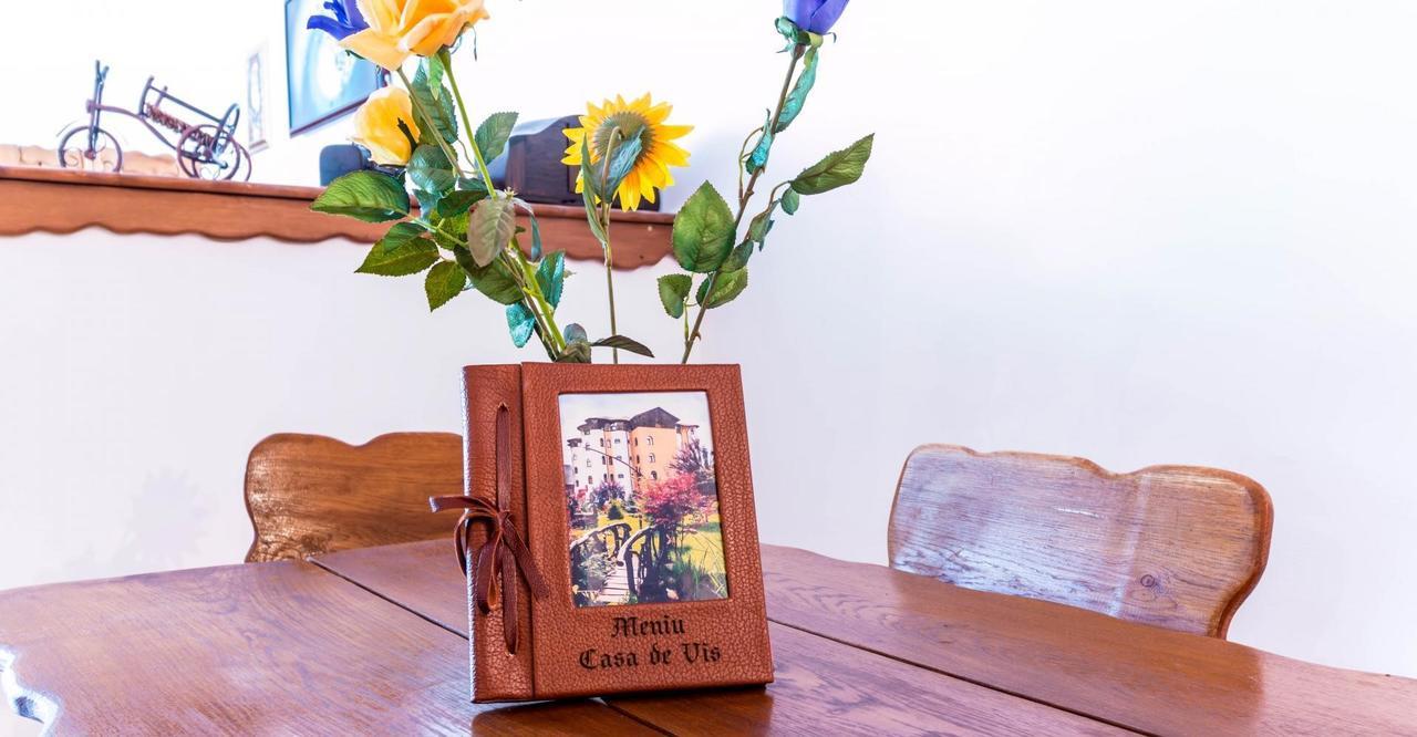 Castelul De Vis Hotel Petrosani Ngoại thất bức ảnh