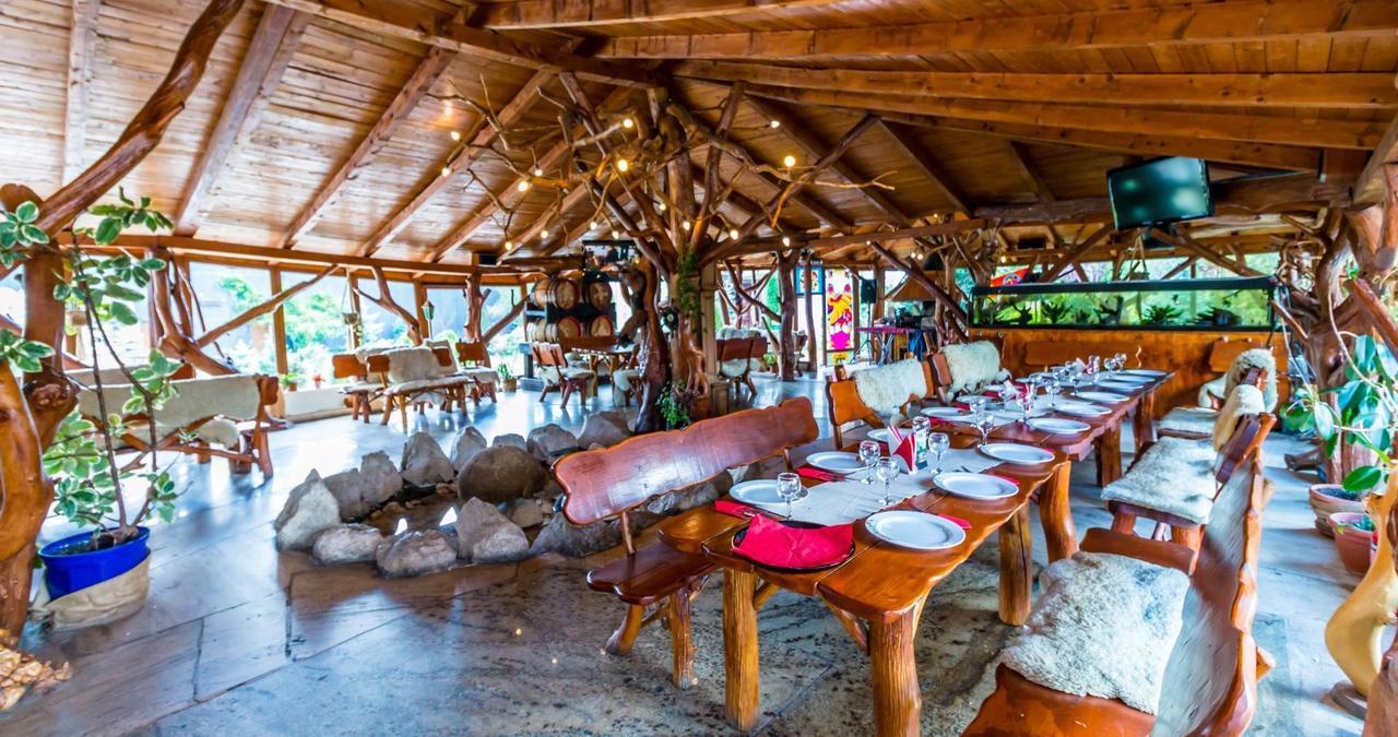 Castelul De Vis Hotel Petrosani Ngoại thất bức ảnh