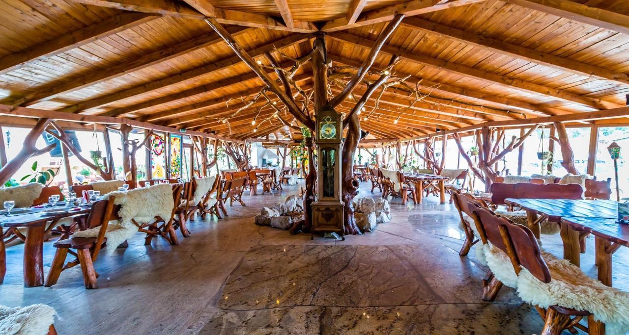 Castelul De Vis Hotel Petrosani Ngoại thất bức ảnh