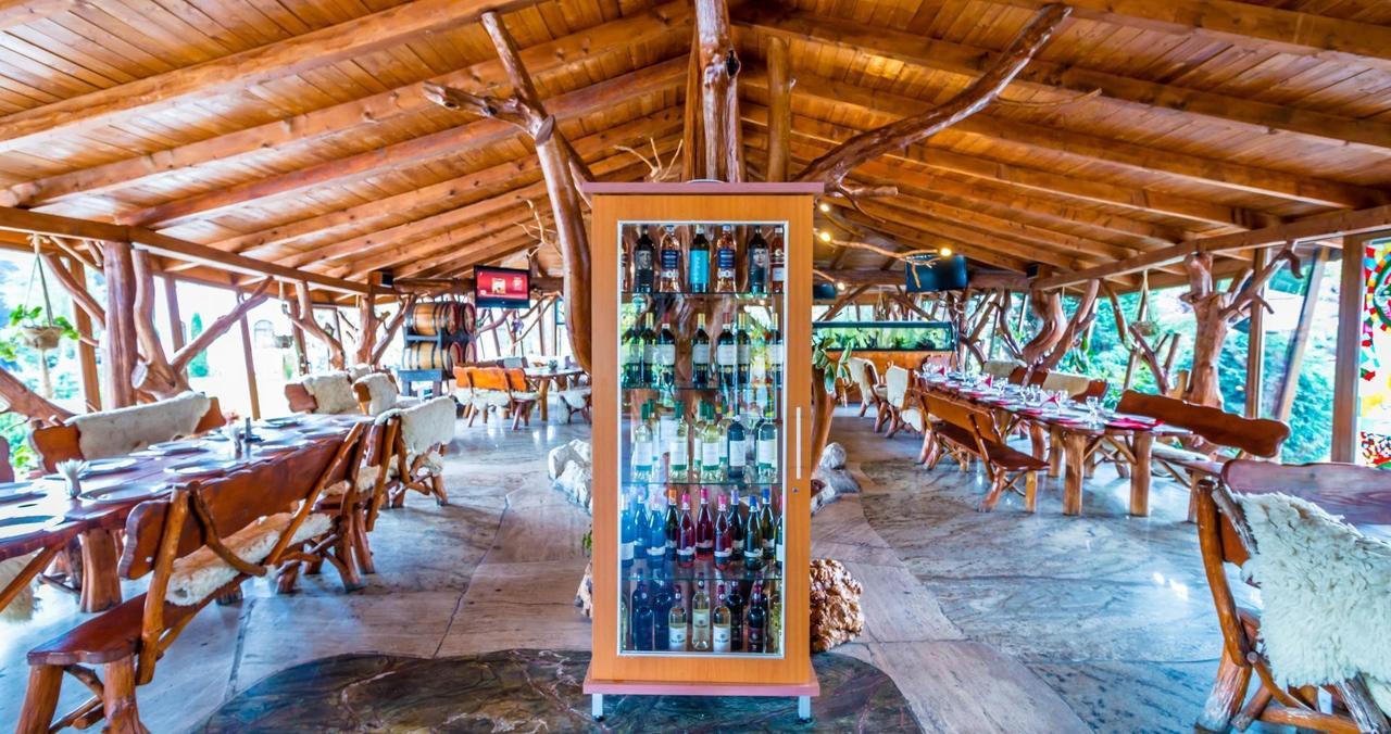 Castelul De Vis Hotel Petrosani Ngoại thất bức ảnh
