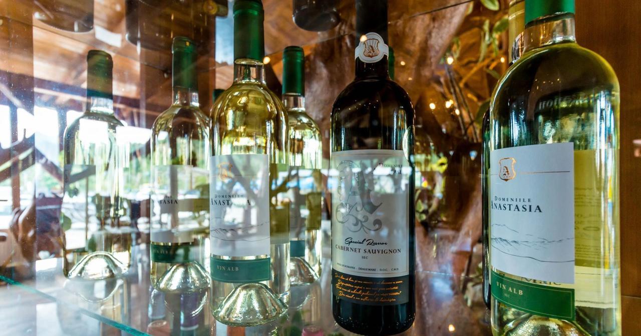 Castelul De Vis Hotel Petrosani Ngoại thất bức ảnh