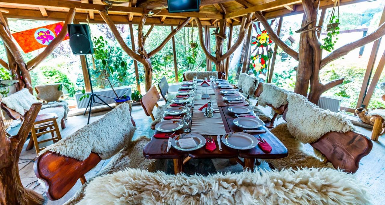 Castelul De Vis Hotel Petrosani Ngoại thất bức ảnh