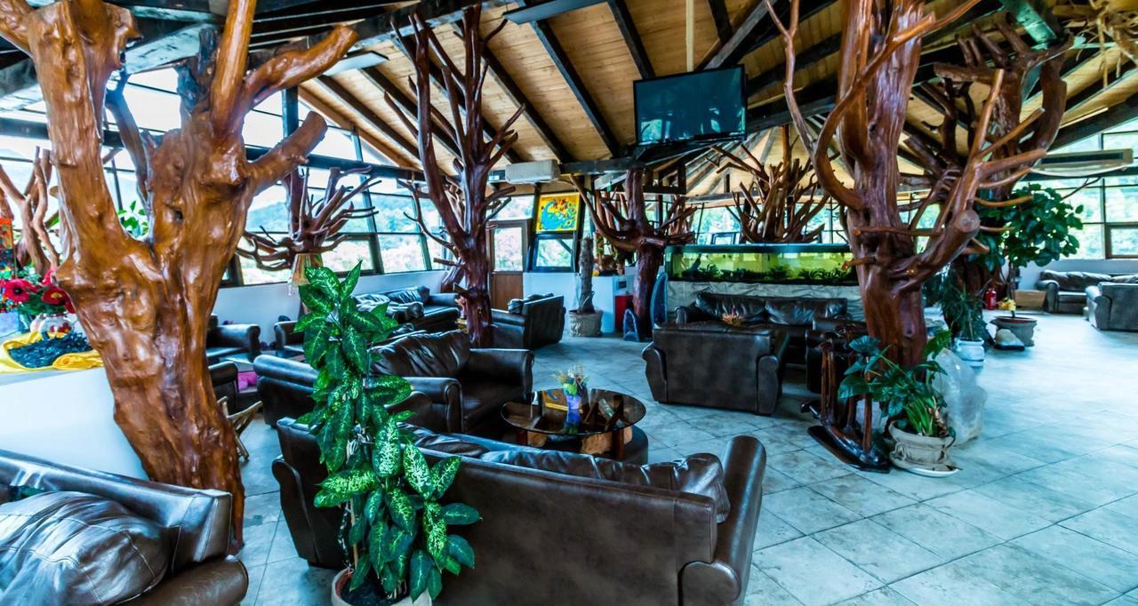 Castelul De Vis Hotel Petrosani Ngoại thất bức ảnh