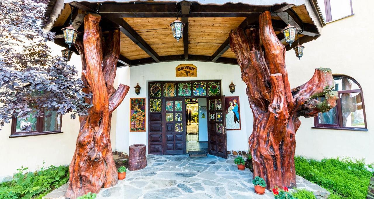 Castelul De Vis Hotel Petrosani Ngoại thất bức ảnh